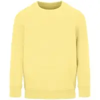 Свитшот детский Columbia Kids, светло-желтый, на рост 130-140