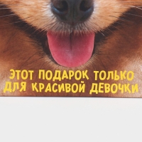 Пакет подарочный, упаковка, &laquo;Подарочек&raquo;, 22 х 22 х 11 см