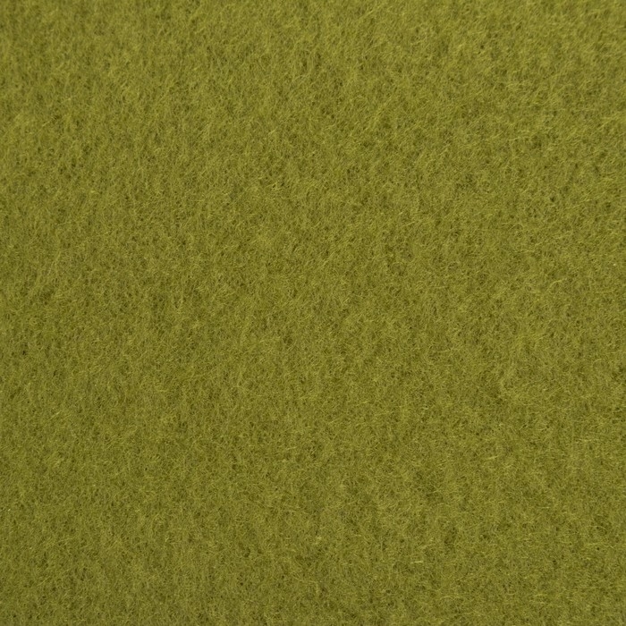 Плед "Экономь и Я" зелёный 150х180 см, 160 г/м2, 100% п/э