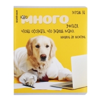Тетрадь 36 листов в клетку, ErichKrause "Ученые собаки", обложка мелованный картон, блок офсет 100% белизна, МИКС