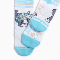 Колготки PAW PATROL "Эверест", цвет белый/голубой, рост 104-110 см Колготки PAW PATROL "Эверест", цвет белый/голубой, рост 104-110 см