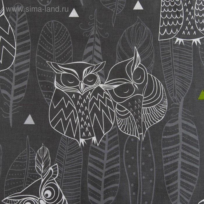 Постельное бельё "Этель" 2 сп Ушастые совы (вид 1) 175 х 215 см, 200 х 220 см, 70 х 70 - 2 шт