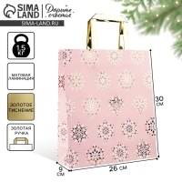 Пакет подарочный новогодний ламинированный &laquo;Яркий Новый год&raquo;, M 30 х 26 х 9 см