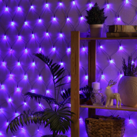Гирлянда &laquo;Сеть&raquo; 1.6 &times; 1.6 м, IP20, тёмная нить, 144 LED, свечение синее, 8 режимов, 220 В