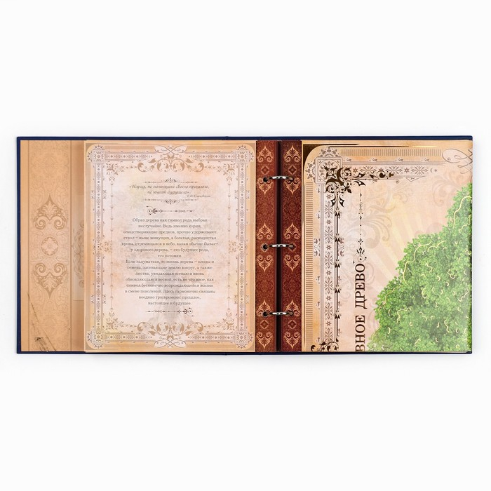 Родословная книга с рамкой под фото «Родословная книга», 50 листов, 21,5 х 23,7 см. Родословная книга с рамкой под фото «Родословная книга», 50 листов, 21,5 х 23,7 см.