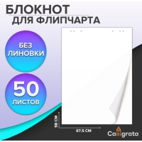 Блокнот для флипчарта, 67,5 х 98 см, 50 листов белый, 92%, 80 г/м2, Calligrata Блокнот для флипчарта, 67,5 х 98 см, 50 листов белый, 92%, 80 г/м2, Calligrata