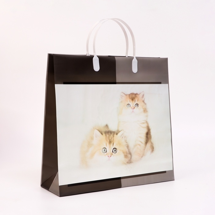 Пакет Пакет "Котята", мягкий пластик, 29 x 30 см 100 мкм