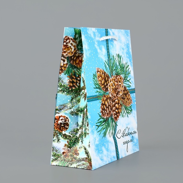 Пакет подарочный новогодний ламинированный &laquo;С Новым годом&raquo;, шишки, MS 18 х 23 х 8 см, Новый год