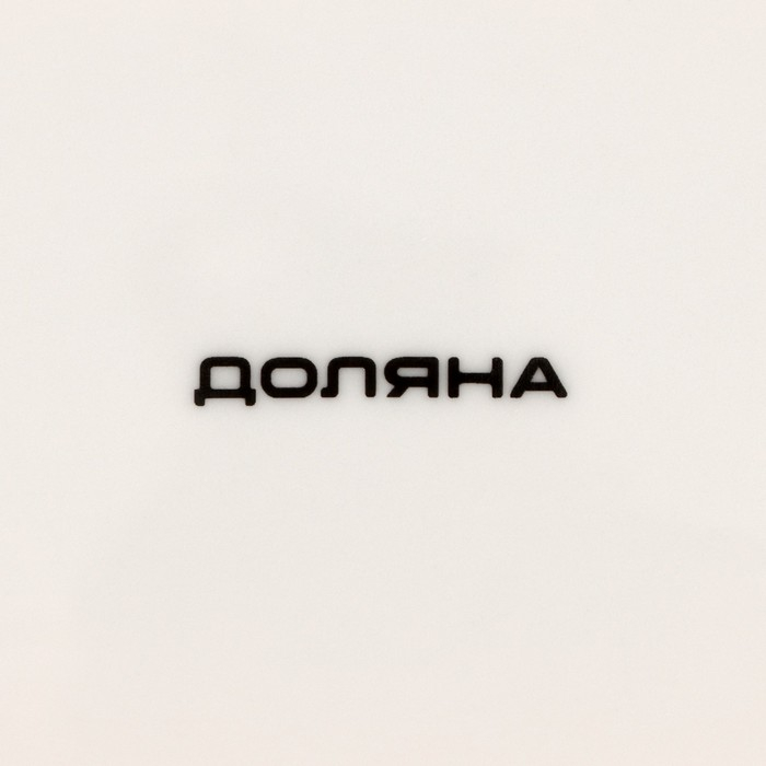 Блюдо фарфоровое Доляна &laquo;Зелёный сад&raquo;, 28&times;14,5&times;2 см, цвет белый