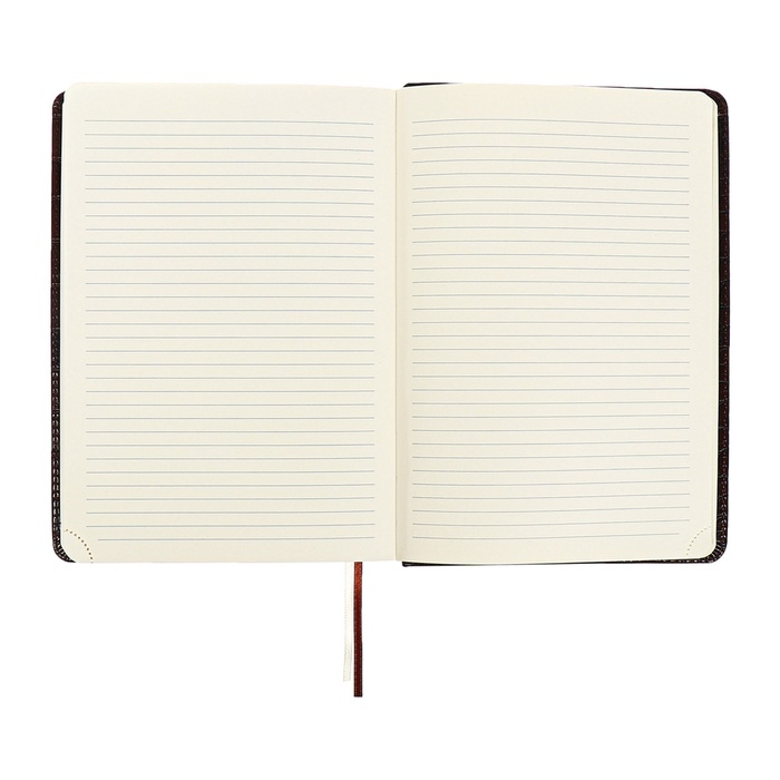 Ежедневник датированный 2024 A5 176 листов, deVENTE.Belcanto, твёрдая обложка из искусственной кожи с поролоном, ляссе, кремовый блок 70 г/м2, коричневый