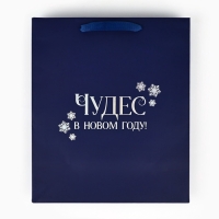 Пакет подарочный новогодний &laquo;Чудес в Новом году&raquo;, голография, ML 23 х 11.5 х 27 см, Новый год