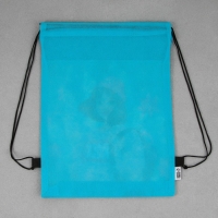 Мешок для обуви &laquo;Стильная девчонка&raquo; нетканное полотно, размер 30 х 40 см