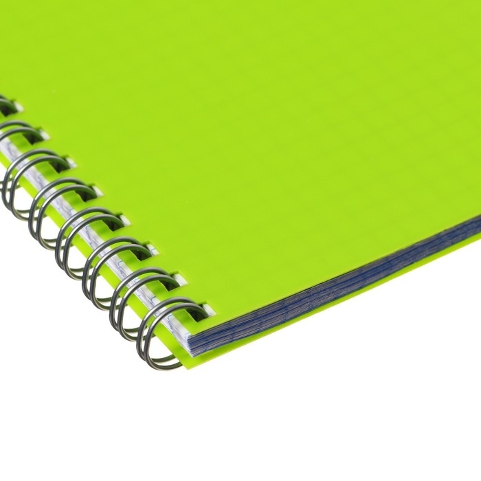 Тетрадь на гребне A4 48 листов в клетку Calligrata Салатовая, пластиковая обложка, блок офсет Тетрадь на гребне A4 48 листов в клетку Calligrata Салатовая, пластиковая обложка, блок офсет