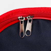 Сумка-переноска для животных, каркасная, 40 х 25 х 27 см, синий-красный Сумка-переноска для животных, каркасная, 40 х 25 х 27 см, синий-красный