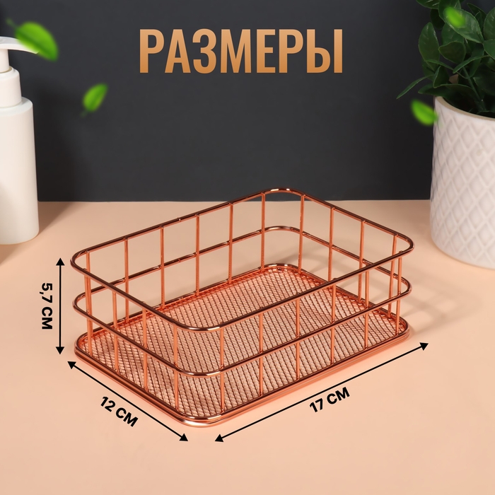 Органайзер для хранения косметических принадлежностей &laquo;РАФАЭЛЬ&raquo;, 17 &times; 12 &times; 5,7 см, цвет бронзовый