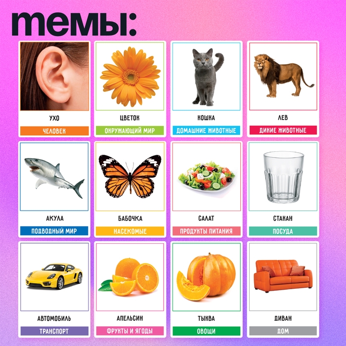 Развивающий набор &laquo;200 слов&raquo;, учимся и развиваемся, по методике Глена Домана