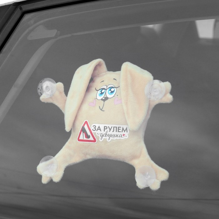 &laquo;За рулем девушка&raquo;, заяц, на присосках