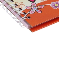 Записная книжка подарочная на замочке, А6+, 50 листов, линия, "Совушка", МИКС Записная книжка подарочная на замочке, А6+, 50 листов, линия, "Совушка", МИКС