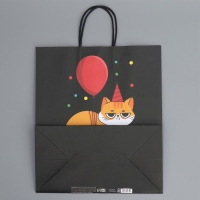 Пакет подарочный крафтовый, упаковка, &laquo;Киса&raquo;, 28 х 32 х 15 см