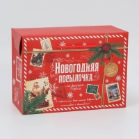 Пакет‒коробка «Посылочка», 28 х 20 х 13 см Пакет‒коробка «Посылочка», 28 х 20 х 13 см