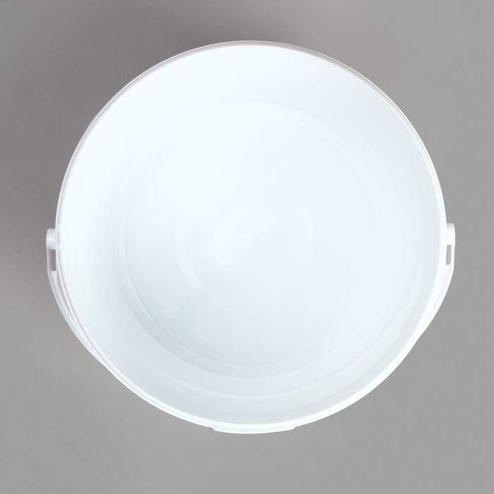 Бак-ведро пищевой &laquo;Для солений&raquo;, 11,3 л, с герметичной крышкой