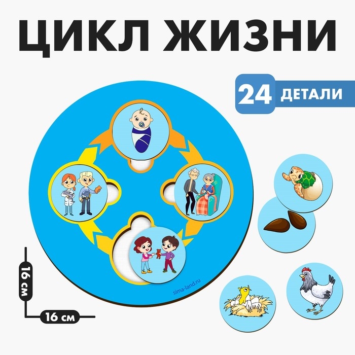 Развивающая игра из дерева &laquo;Цикл жизни&raquo;