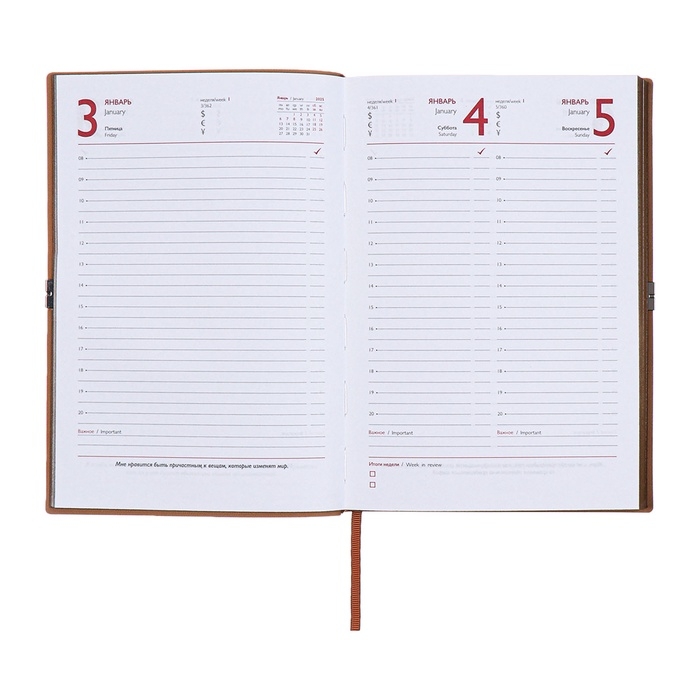 Ежедневник датированный 2025 года, А5, 176 листов ESCALADA, мягкая обложка из искусственной кожи, блинтовое тиснение, ляссе, блок 70 г/м2, бежевый