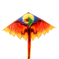 Воздушный змей «Дракон», цвета МИКС Воздушный змей «Дракон», цвета МИКС