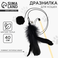 Игрушка дразнилка для кошек с пером и помпоном «Кошечка», черный Игрушка дразнилка для кошек с пером и помпоном «Кошечка», черный