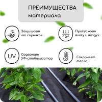 Материал мульчирующий, с перфорацией, 5 &times; 1,6 м, плотность 80 г/м&sup2;, спанбонд с УФ-стабилизатором, чёрный, Greengo, Эконом 30%