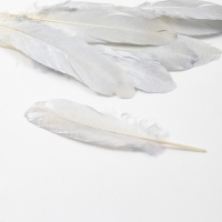 Перья для декора, серебро полная окраска , 13-15 см 10 шт Перья для декора, серебро полная окраска , 13-15 см 10 шт