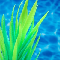 Растение искусственное аквариумное, светящееся, 20 см, зелёное Растение искусственное аквариумное, светящееся, 20 см, зелёное