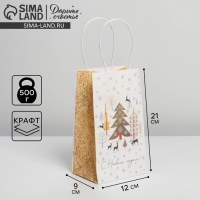Пакет подарочный новогодний крафтовый &laquo;Сказка&raquo;, 12 х 21 х 9 см, Новый год