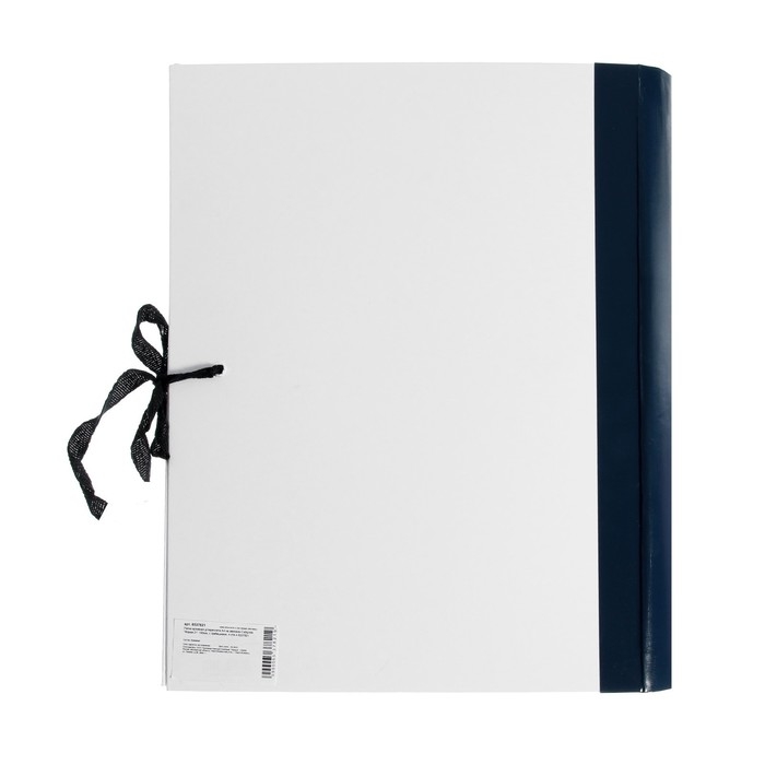 Папка архивная д/переплета А4, на завязках, Calligrata Папка архивная д/переплета А4, на завязках, Calligrata "Форма 21" 100 мм, с гребешками, 4 отв-я