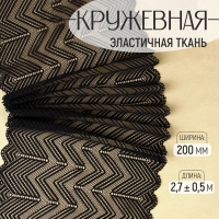 Кружевная эластичная ткань, 200 мм &times; 2,7 &plusmn; 0,5 м, цвет чёрный