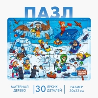 Пазл деревянный &laquo;Южный полюс&raquo;, 30 элементов