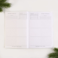 Новый год. Ежедневник-планинг &laquo;Новогодних чудес&raquo;, А5, 80 л.