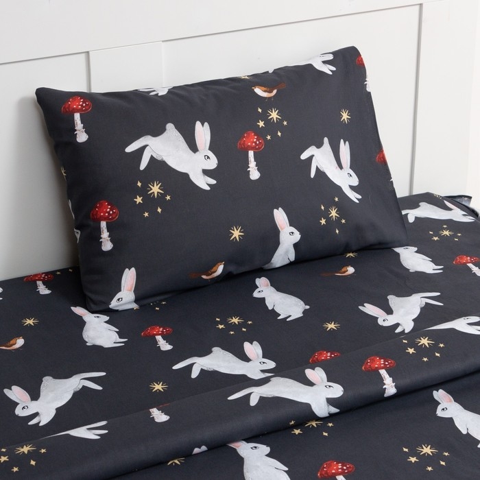 Постельное бельё Этель 1,5 сп «Лесной житель», 143х215 см, 150х214 см, 50х70 см -1 шт, 100% хлопок, бязь Постельное бельё Этель 1,5 сп «Лесной житель», 143х215 см, 150х214 см, 50х70 см -1 шт, 100% хлопок, бязь