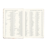 Ежедневник датированный 2025 года A5 168 листов, deVENTE. Expert, интегральная обложка кожзам, карман, перфорация, ляссе, кремовый блок 70 г/м2, серый Ежедневник датированный 2025 года A5 168 листов, deVENTE. Expert, интегральная обложка кожзам, карман, перфорация, ляссе, кремовый блок 70 г/м2, серый