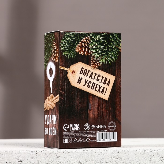 Подарочный набор косметики «Богатства и успеха», гель для душа и шампунь для волос, 2 х 100 мл, Новый Год Подарочный набор косметики «Богатства и успеха», гель для душа и шампунь для волос, 2 х 100 мл, Новый Год