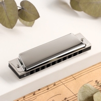 Губная гармошка Music Life T10 C диатоническая, 10 отверстий, с футляром