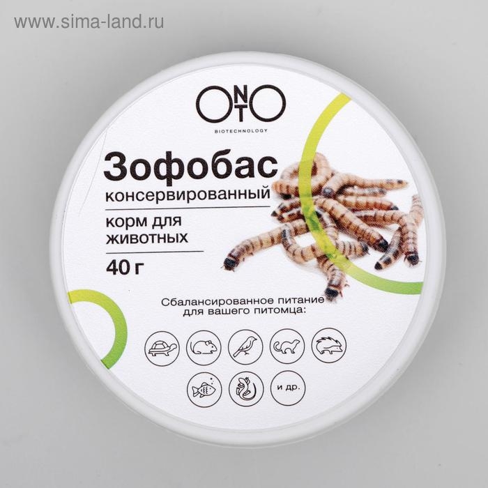 Консервированный корм ONTO для животных, зофобас 40 г