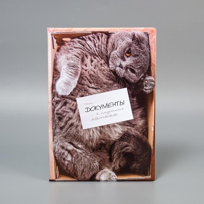 Папка для семейных документов Папка для семейных документов "Твои документы в надежных лапках" 8 файлов А4