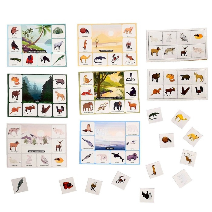 Лото детское&raquo; Кто где живёт?&raquo;, МИКС