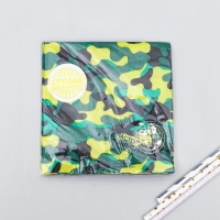 Салфетки бумажные &laquo;Настоящий защитник&raquo;, 25х25 см, набор 20 шт.