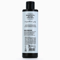 Шампунь для волос и бороды 2в1, 250 мл, HARD LINE Шампунь для волос и бороды 2в1, 250 мл, HARD LINE