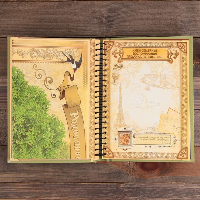 Родословная книга «Семейная летопись», 30 листов, 24,5 х 29,2 см Родословная книга «Семейная летопись», 30 листов, 24,5 х 29,2 см