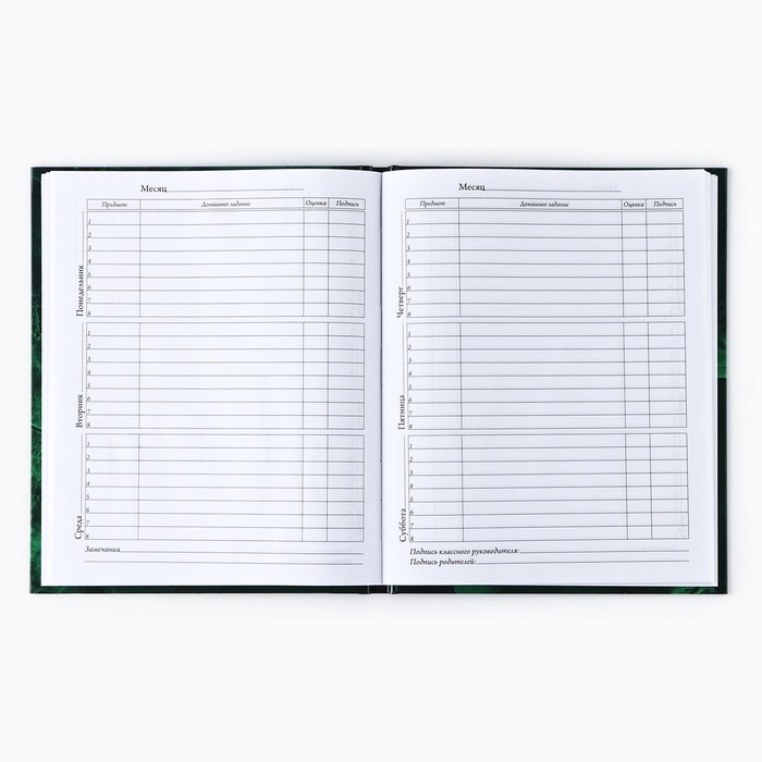 Дневник школьный для 1-11 класса, в твердой обложке, 40 л. &laquo;Изумрудный мрамор&raquo;