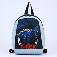 Рюкзак школьный детский для мальчика &laquo;Динозавр&raquo;, 20х13х26, отд на молнии, цвет голубой