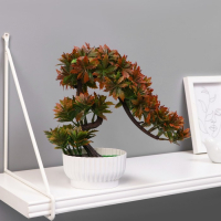 Бонсай в горшке "Деревце остролист" 10х22 см, микс Бонсай в горшке "Деревце остролист" 10х22 см, микс